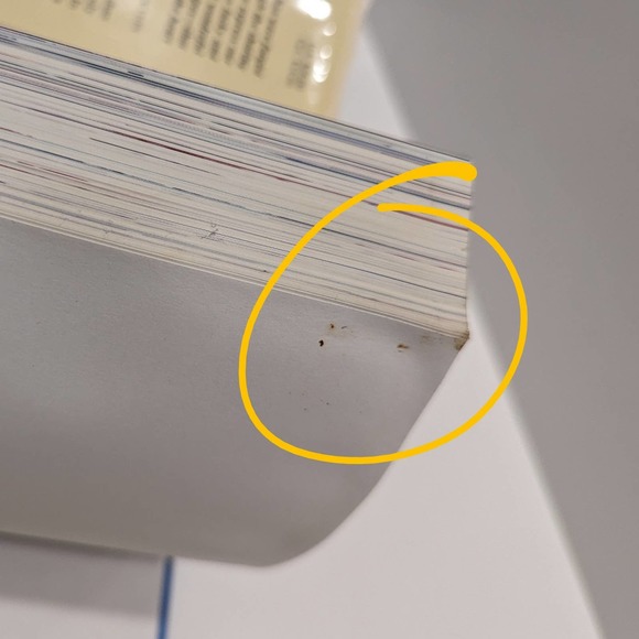 The Deen Family Cookbook (2009, Hardcover) – Paula Deen, Melissa Clark [Cooking] - Picture 4 of 10